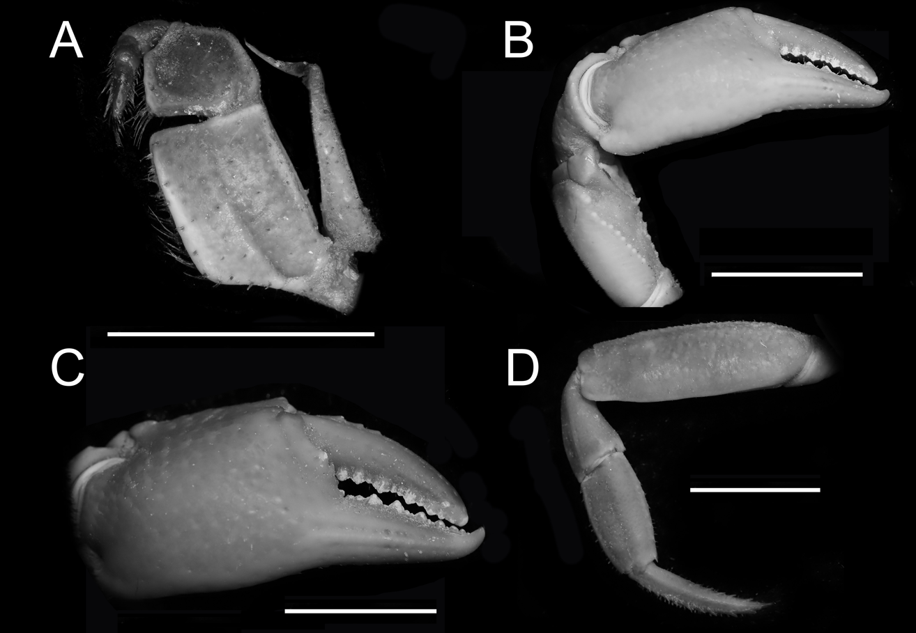 /uploads/image/2024/08/22/1724307949260.jpg 1724307949260.jpg