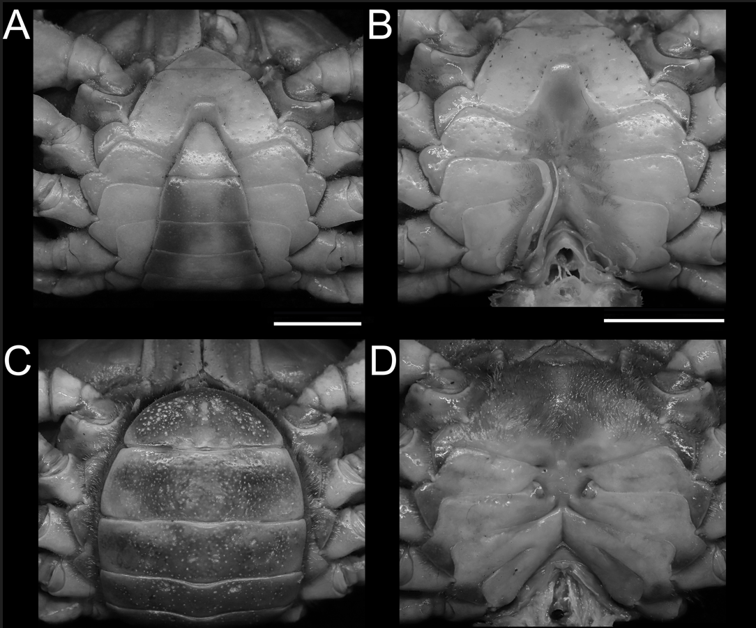 /uploads/image/2024/08/22/1724307993578.jpg 1724307993578.jpg