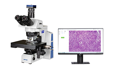 /uploads/image/2024/08/22/7-1.jpg 7-1.jpg