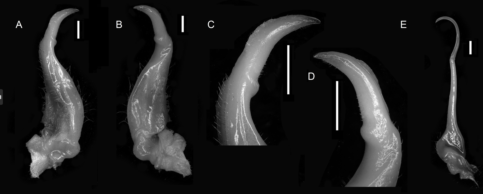 /uploads/image/2024/08/22/image.png image.png